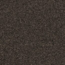 Encounter - Anchorage