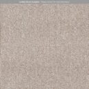 Encounter - Driftwood