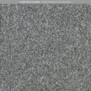 Encounter - Seagrass