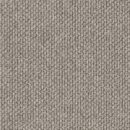 Flinders Gorge - Calla