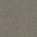 Cool Charm - Solution Dyed Nylon Carpet - Braid