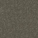 Cool Charm - Solution Dyed Nylon Carpet - Amulet Stipple