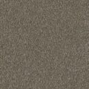 Cool Charm - Solution Dyed Nylon Carpet - Celtic Brown