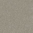 Cool Charm - Solution Dyed Nylon Carpet - Andriod