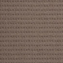 Daytona - Desert Brown