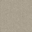 Andes Peak - Patilla