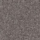 Timeless - Solution Dyed Nylon Carpet - Moonnock Stipple