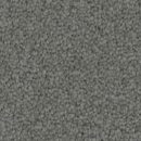 Timeless - Solution Dyed Nylon Carpet - Urban Grey