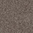 Timeless - Solution Dyed Nylon Carpet - Cocotone Stipole