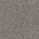 Timeless - Solution Dyed Nylon Carpet - Light Shadow