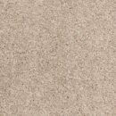 Critics Choice - Torte