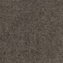 Tuscan Sun - Trial Print