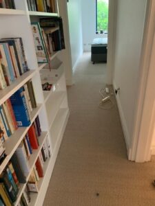 Carpet Flooring (16)