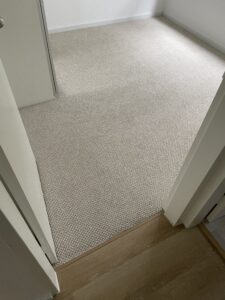 Carpet Flooring (25)