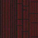 New Curriculum - Reading Red