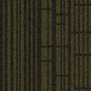 New Curriculum - Sensible Solar