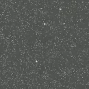 Surestep Original - 171592 Lava