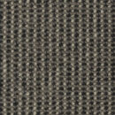 York Street - Sapling