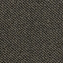 Medallion - Seacrest